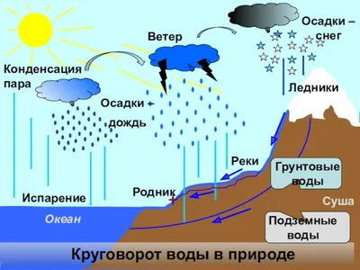 Круговорот воды в природе. | Природа как она есть | Дзен