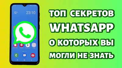 В WhatsApp появились две крутые опции - этого ждали многие - AmurMedia.ru