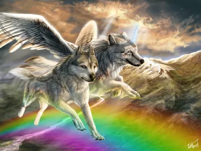 Фото Два крылатых волка летят по радуго на фоне гор и неба