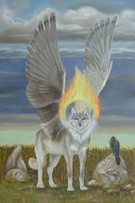 Крылатый волк - красивые фото