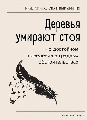 крылатые слова и выражения фразы история значение книги литература кино  факты | Кинокнига, Рекомендованные книги, Книги книжного клуба