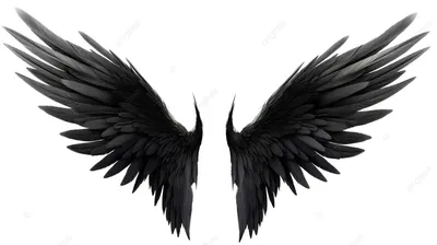 черные пернатые крылья демона на белом фоне 3d иллюстрация, крылья ангела,  ворон, крылья фон картинки и Фото для бесплатной загрузки