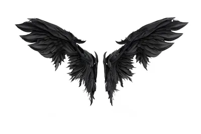 Черные крылья демона изолированные на белом фоне | Премиум Фото