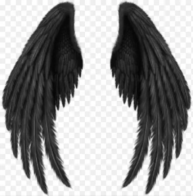 Черные крылья демона с перьями RESTEQ. Черные крылья ангела перьевые  (ID#894330802), цена: 899 ₴, купить на Prom.ua
