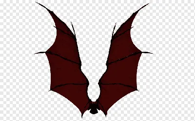 Два реалистичных крыла, изолированные на прозрачном фоне. 3d белый ангел и  темный дьявол, крылья демона | Премиум векторы