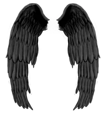 Пользовательские серые Крылья Ангела демона, взрослые высококачественные  крылья дьявола, студийная фотография, модель вечерние, Декор, реквизит для  косплея | AliExpress