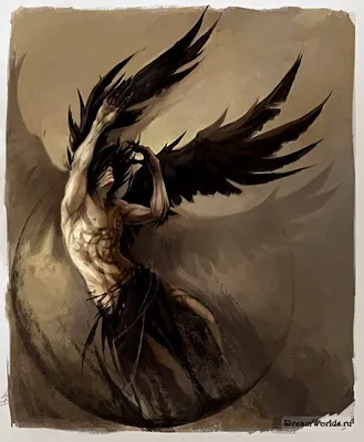 Крылья черные белые средние на резинке для карнавала на Хэллоуин крылья  демона падший ангел (ID#797948766), цена: 210 ₴, купить на Prom.ua
