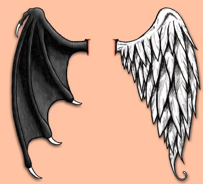 Крылья ангела и демона рисунок - 69 фото
