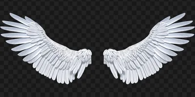 Крылья черные крылья ангела простые PNG , крыло, черный, ангел PNG картинки  и пнг PSD рисунок для бесплатной загрузки