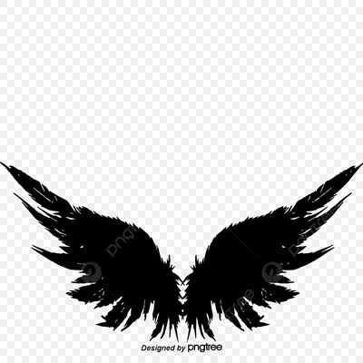 Крылья ангела своими руками, необходимые материалы, ВСЕГО 10 ПУНКТОВ😻 |  Lukichevek | Дзен