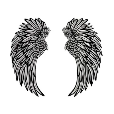 Крылья орла, иллюстрация Stock Vector | Adobe Stock