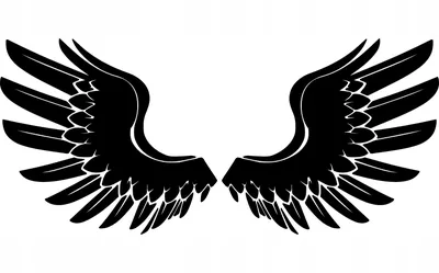 Огромные белые крылья ангела для взрослого, взрослые ангельские крылья  (ID#1570126534), цена: 3200 ₴, купить на Prom.ua