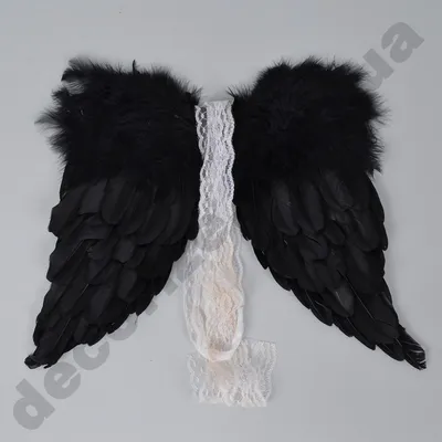 Крылья ангела крыльев ангела белые изолированные на черном фоне.  Иллюстрация мультфильма вектора Иллюстрация штока - иллюстрации  насчитывающей хоук, украшение: 193353424