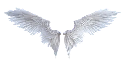 Карнавальные крылья ангела / Реквизит для костюма на Хэллоуин Черный -  купить по доступным ценам в интернет-магазине OZON (1142839852)