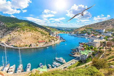 Крым за 2019 год посетили 7,4 миллиона туристов - Российская газета