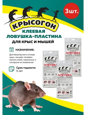 Тесто-брикет от крыс мышей 200гр, пакет Грызунофф — заказать в  Интернет-магазине Строительный дом на Приморской 27