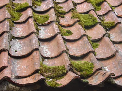 Какой материал выбрать для покрытия крыши - плюсы и минусы