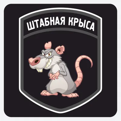 Ученые смогли заставить крыс поумнеть с помощью добавок в пищу - Газета.Ru  | Новости