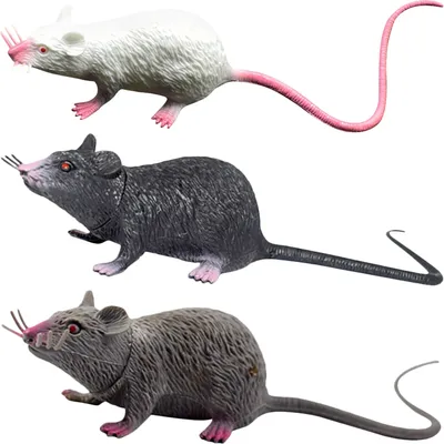 Три Смешные Серые Крысы В Прыжке — стоковая векторная графика и другие  изображения на тему 2020 - 2020, Баннер - знак, Белый - iStock