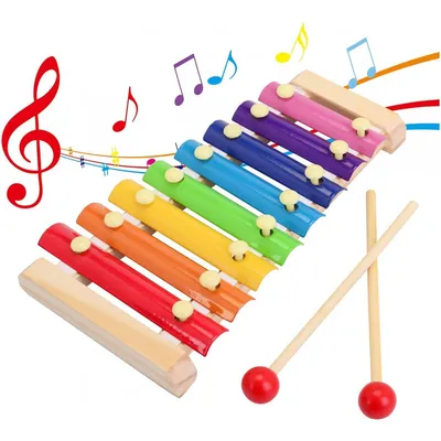 Детский ксилофон Ecotoys PH08C002 (Multicolor)