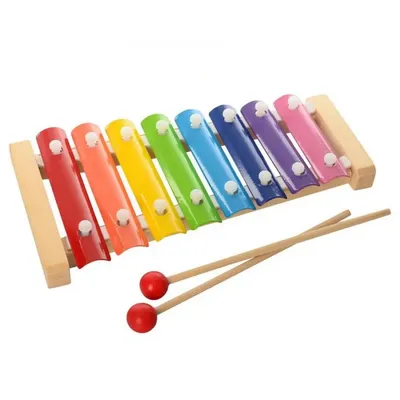 Ксилофон, детский музыкальный инструмент купить по цене 456 ₽ в  интернет-магазине KazanExpress