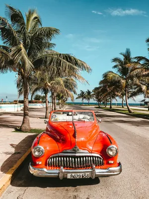 Cuba: Wild Island of the Caribbean | Explore Cuba | Nature | PBS