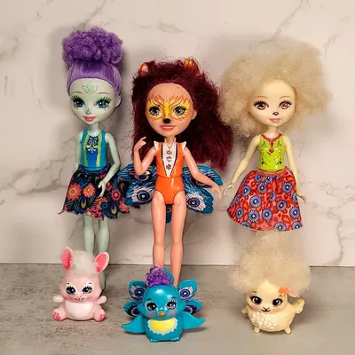 Enchantimals Dolls Shop | Chorley