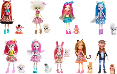 Кукла Enchantimals Mattel - Снежный день с друзьями - Набор из 5 кукол с  животными GXB20 купить в Москве | Доставка по России.