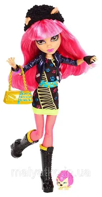 Monster High, 13 Wishes - Twyla basic fashion doll. Монстр * Монстер Хай,  кукла Твайла * Твила базо… | Monster high dolls, Monster high party, Monster  high birthday