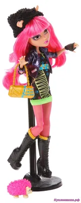 Купить Кукла Monster High 13 желаний Клодин Вульф, 27 см, Y7705 по  Промокоду SIDEX250 в г. Новосибирск + обзор и отзывы - Куклы и пупсы в  Новосибирск (Артикул: RTRTRZN)