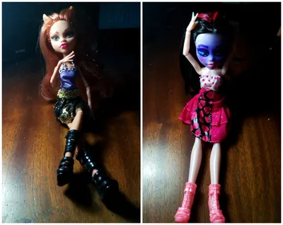 Кукла Monster High Монстер Хай \"Смертельно уставшие\" Клодин Вульф — купить  в Красноярске. Состояние: Новое. Куклы и аксессуары на интернет-аукционе  Au.ru