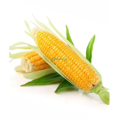 Кукуруза в духовке в фольге: рецепт Евгения Клопотенко