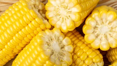 Кукуруза: польза и вред для здоровья мужчин, женщин, детей