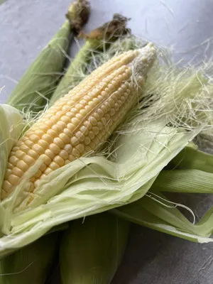 Кукуруза | Маис | Отруби кукурузные Сойкапедия