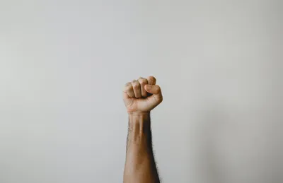 Рука Показаны Кулак Как Символ Мощности — стоковая векторная графика и  другие изображения на тему Кулак - Кулак, Активист, Белый - iStock