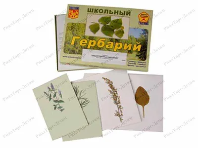 Montessori Print Store on Instagram: \"КУЛЬТУРНЫЕ РАСТЕНИЯ ⠀ Монтессори  карточки для расширения словарного запаса. Набор карточек познакомит  ребёнка с культурными растениями: декоративные, плодовые, технические,  огородные и бахчевые. ⠀ Ребёнок ...