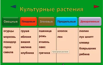 Окружающий мир. Растения культурные и дикорастущие. 1-4 классы:  Таблица-плакат 420х297 – купить по цене: 35 руб. в интернет-магазине УчМаг