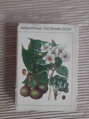 Культурные растения СССР, В. Вехов, Справочник-определитель \"Культурные  растения СССР\" содержит характеристику свыше 350 видов, подвидов и  разновидностей растений, возделываемых в нашей стране: хлебных  злаков....(688)(1010) — купить в Красноярске ...