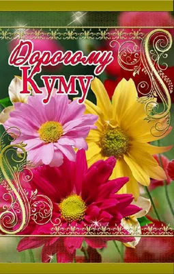 Привітання з 8 березня 2023 – найкращі побажання жінкам українською - Радіо  Незламних