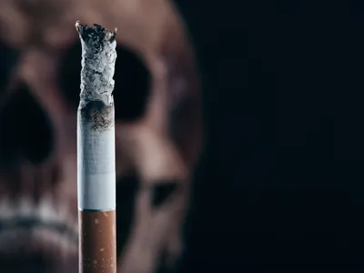 Курение и органы-мишени | Оренбургский областной центр общественного  здоровья и медицинской профилактики