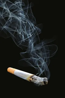 Как люди начали курить: история «табачной эпидемии» в картинках - Hi-News.ru