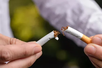 Курит Человек — стоковая векторная графика и другие изображения на тему  Курить - Курить, Дым, Сигарета - iStock