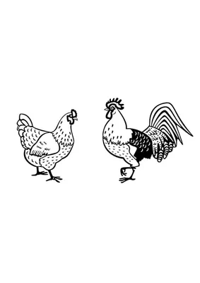 Курица, петух и цыплёнок в …» — создано в Шедевруме