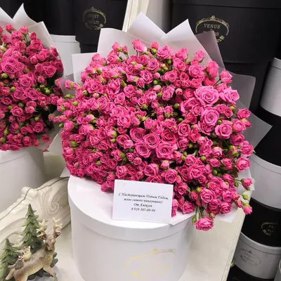 25 кремовых кустовых роз Рослин | купить недорого | доставка по Москве и  области