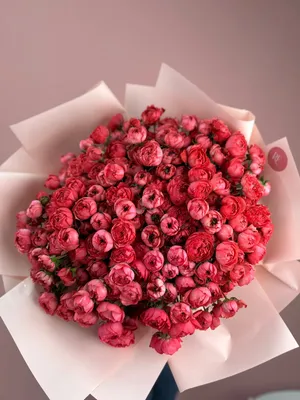 Кустовая роза Розовая