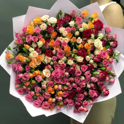 Пионовидные кустовые розы - купить с доставкой в Омске - LAVANDA