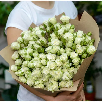 Белые кустовые розы под ленту - Доставкой цветов в Москве! 123492 товаров!  Цены от 487 руб. Цветы Тут