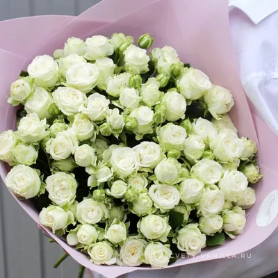 Купить Кремовые кустовые розы поштучно Ровно | UFL