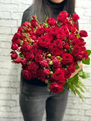 Кустовые розы на 1 сентября купить с доставкой по Томску: цена, фото,  отзывы.