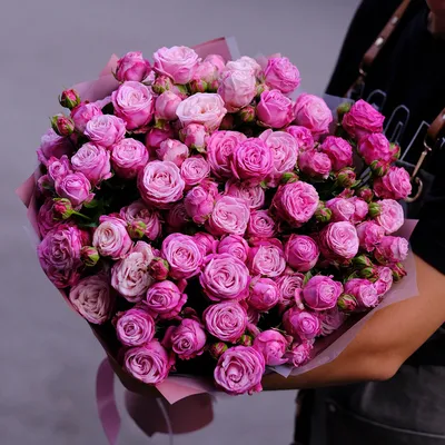 Роза кустовая персиковая по цене 399 ₽ - купить в RoseMarkt с доставкой по  Санкт-Петербургу